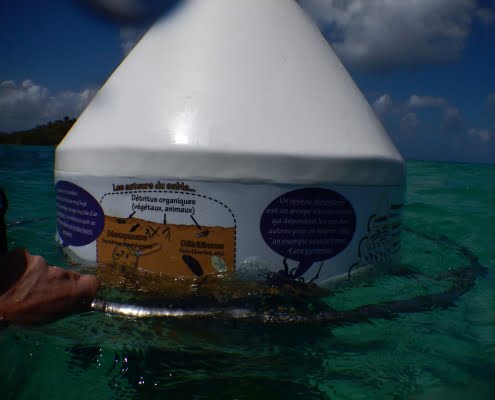 Mobilis-plaisance-loisirs-sentier-sous-marin-martinique