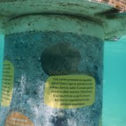 Mobilis-sentier-sous-marin